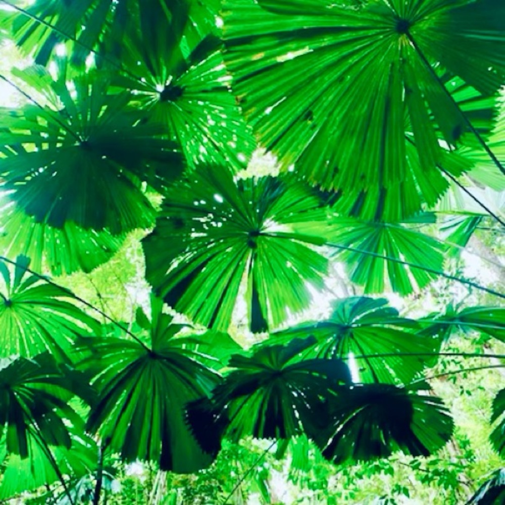 Meet your Posher, Katrina